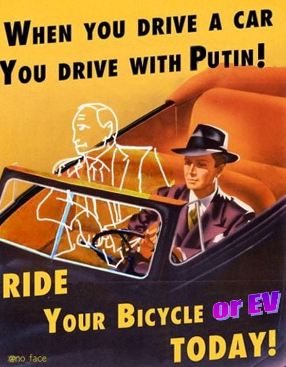 When you drive you drive wih putin graphic jpg