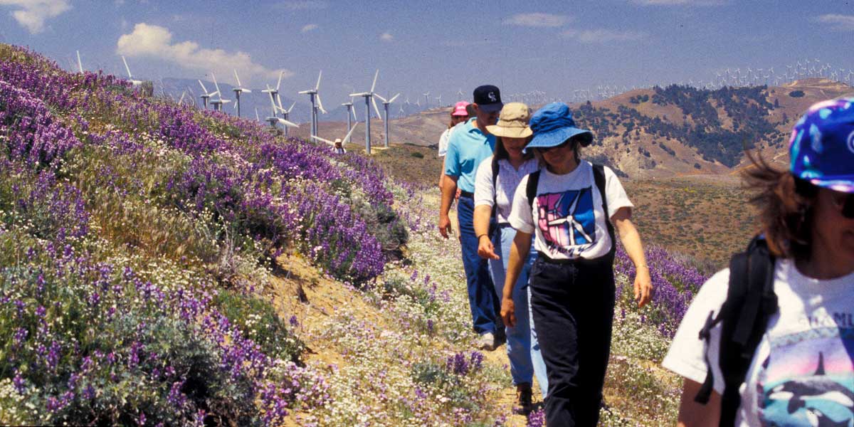 Wildflowerhike 1 1200x600xmed