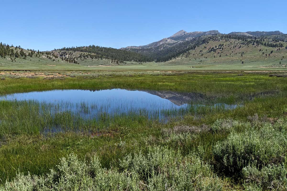 20230713 beck meadow 17